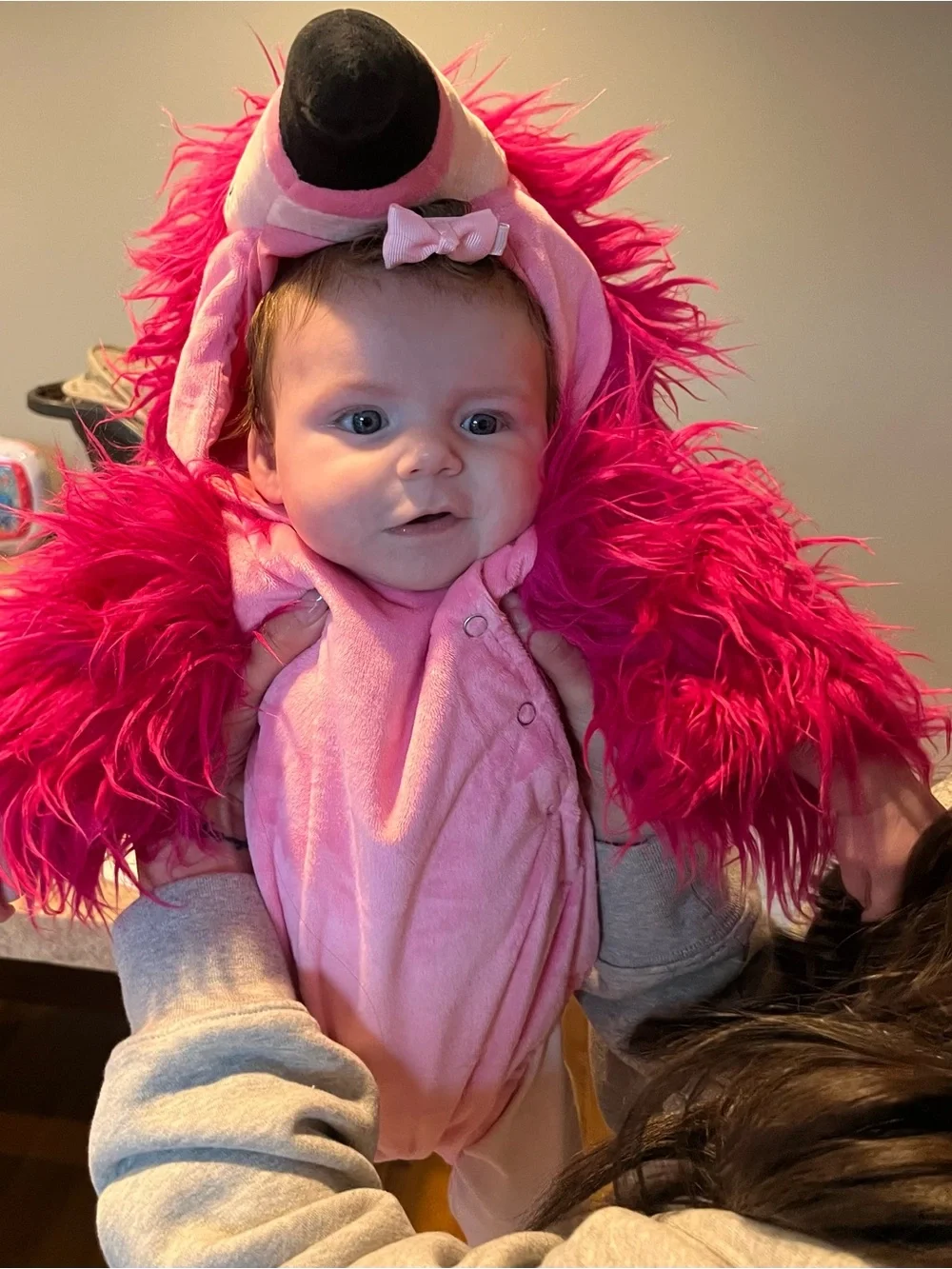 Pottery Barn Kids plush flamingo